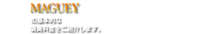 MAGUEYの基本的な演奏料金をご紹介します。