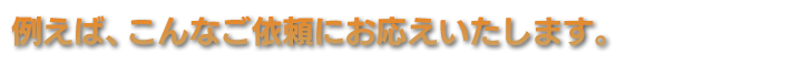 例えば、こんなご依頼にお応えいたしま